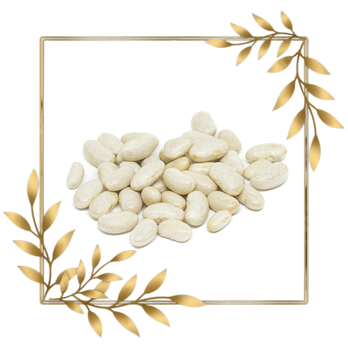 white beans